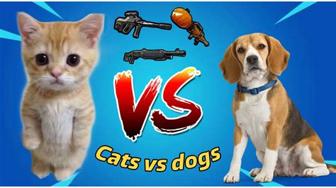 🐈 Cats vs Dogs 🐕 2213-3532-6039 by yousseftw5 - Fortnite Creative Map ...