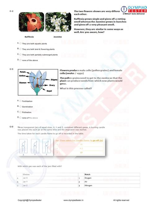 Class 4 NSO Science Olympiad sample paper - Worksheet 08 | Olympiad tester