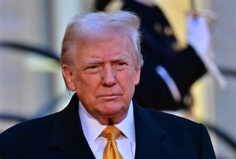 Internet reacts the new Donald Trump haircut - Pubity