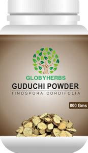 Globyherbs Guduchi (Tinospora Cordifolia) 800g Price in India - Buy ...