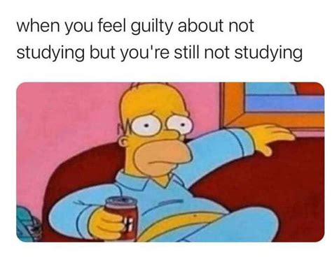 Image result for Study Break Stop Using Your Brain Community