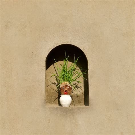 Mr. Grasshead – Pilkhan