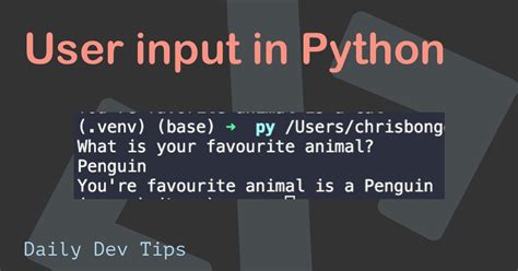 How to Provide User Input to Python Code in Shell 的图像结果