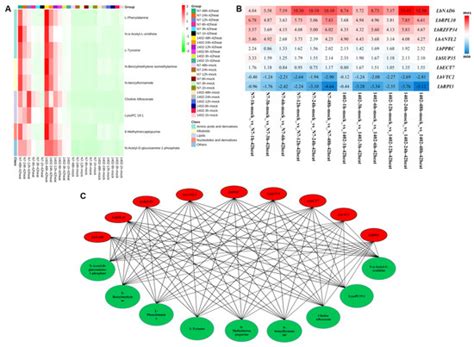 Metabolomic and Transcriptomic Analyses of Lycium barbarum L. under ...