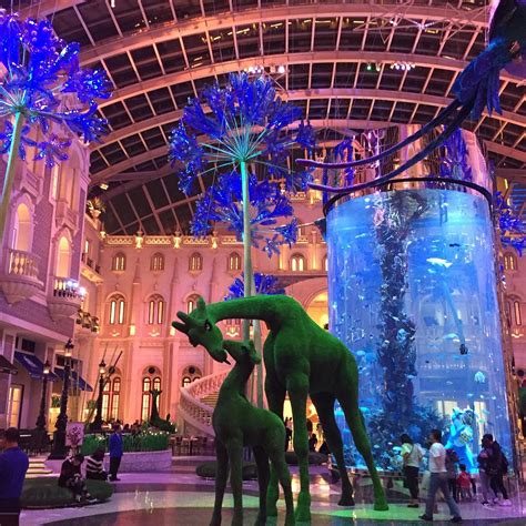 AQUARIUM (MGM MACAU) (2026) All You Need to Know BEFORE You Go (with ...
