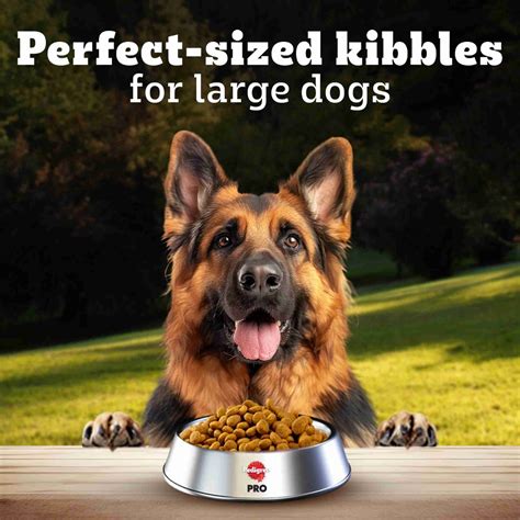 PEDIGREE Large Breed (18 Months Onwards) Chicken 3 kg Dry Adult Dog ...