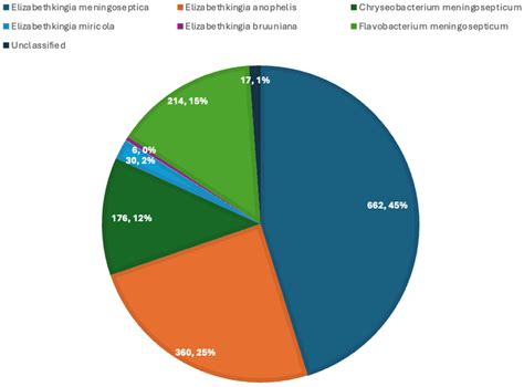 Elizabethkingia Species as an Emerging Pathogen: A Comprehensive Review ...