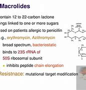 Image result for macrolides