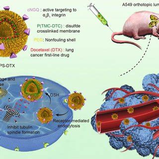 Springer Nature Book Example 的图像结果