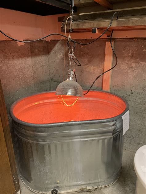 Image result for Turkey Brooder