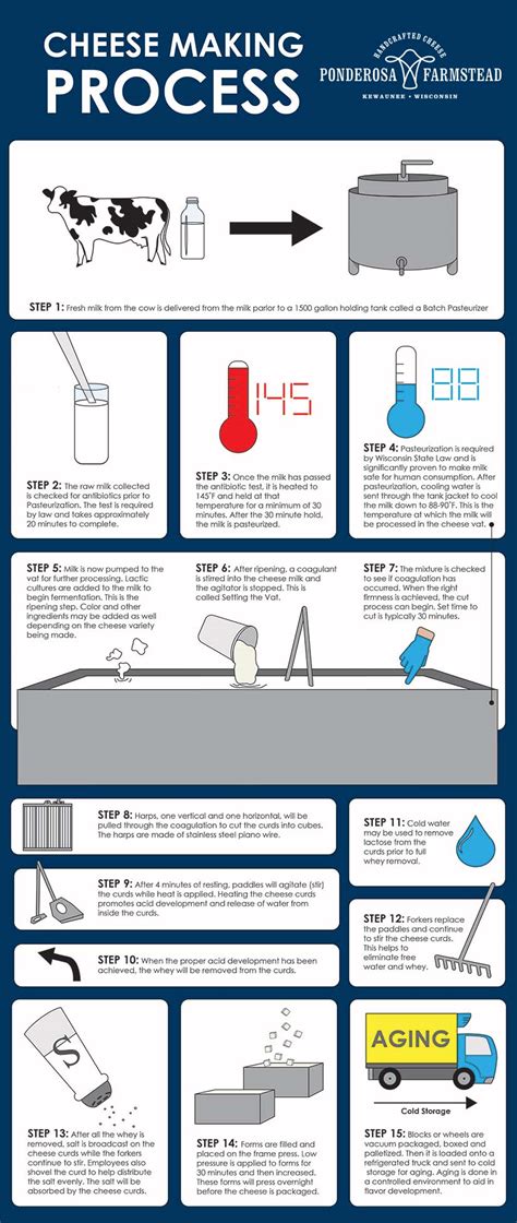 Process of Making Cheese 的图像结果