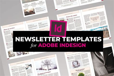 Image result for InDesign Newsletter