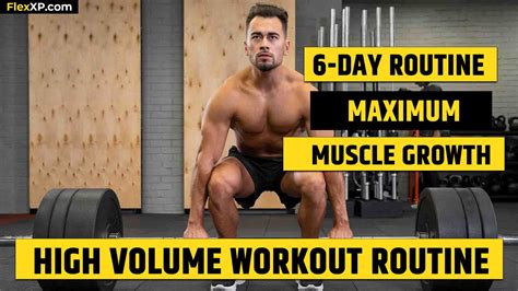 Muscle Building Workout 的图像结果
