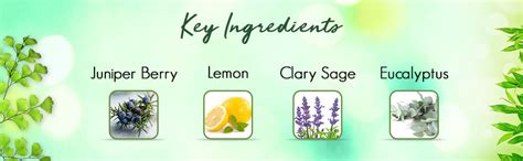 Buy Organic Harvest Hair Oil For Hair Strengthen and Hair Growth ...