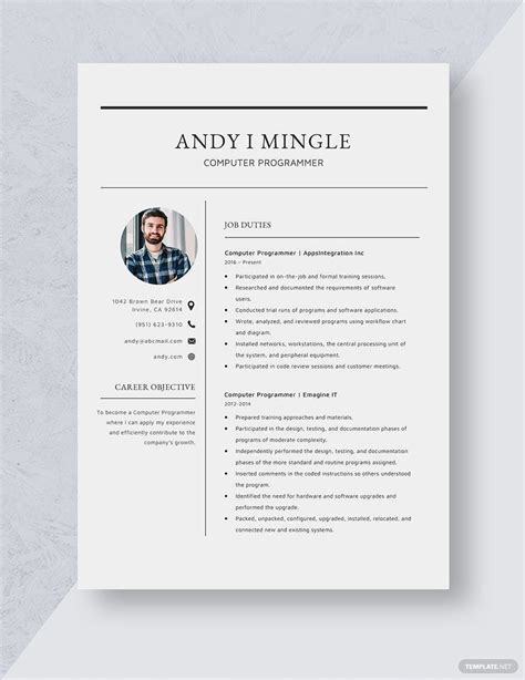 Computer Programmer Resume 的图像结果