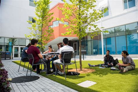 MIT Math Life 的图像结果