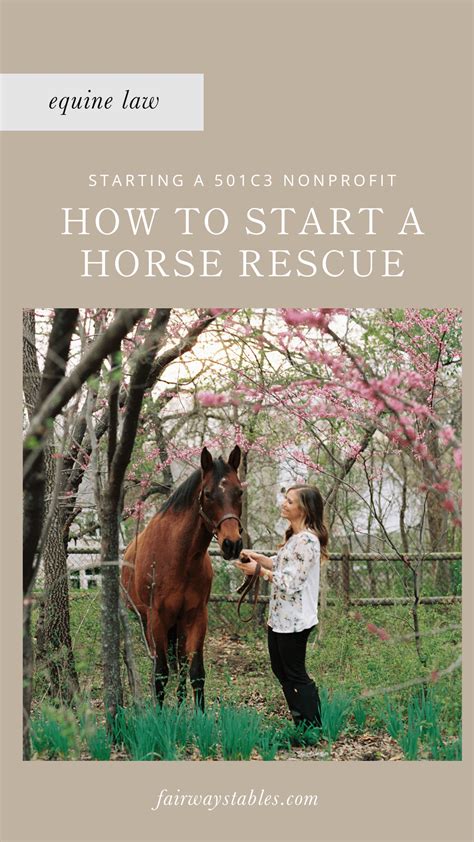 Starting A Horse Rescue - fairwaystables.com