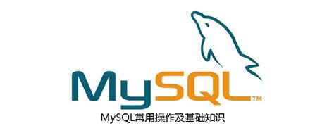 MySQL常用操作及基础知识 - 重庆小潘seo博客