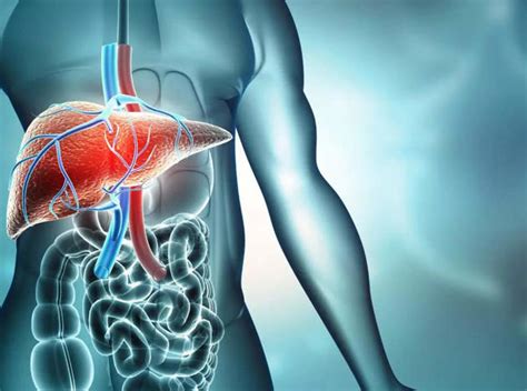 The Silent Disease: How to Detect Fatty Liver in Its Early Stages ...