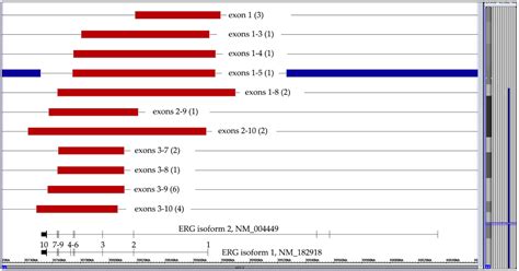 Copy Number Changes and Allele Distribution Patterns of Chromosome 21 ...
