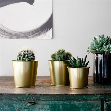 DAIDAI plant pot, brass-colour, 9 cm (3 ½") - IKEA