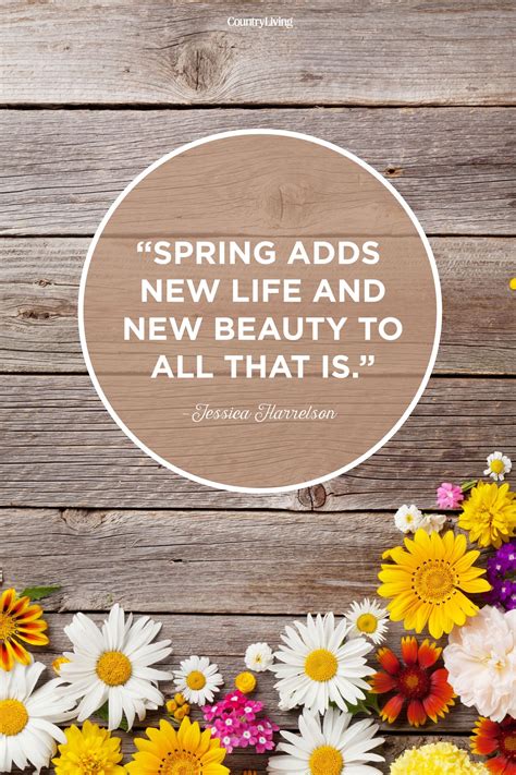 Spring Quotes And Sayings