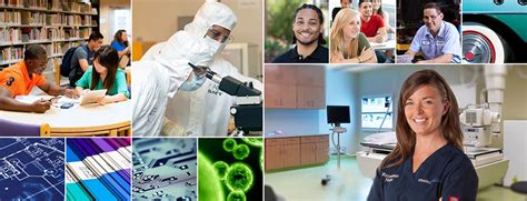 Accelerated Classes 的图像结果