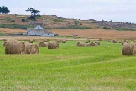 Karmakara Hay Rolls II by Styber, Dana - Fine Art Print on PAPER : 20.5 ...