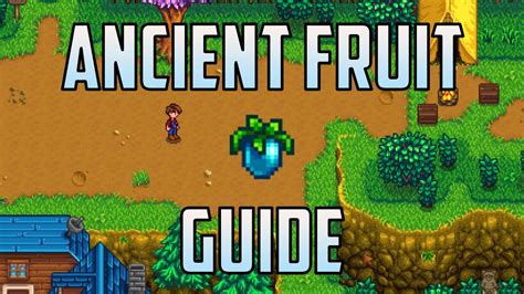 How to Get Ancient Fruit in Stardew Valley 1.5 an Ancient Fruit/Seed ...