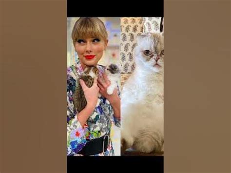Image result for Client Secret Token Azure. API