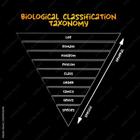 Image result for Taxonomy Code for LMSW