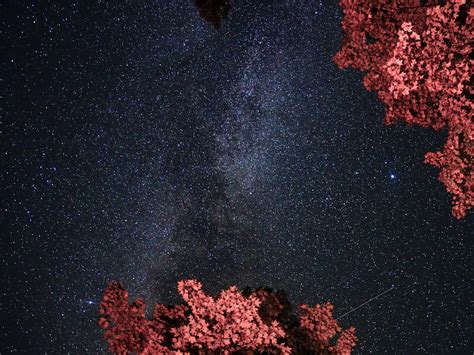 Nicolet Leak: The Investigation Heats Up - Truth or Fiction