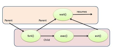 Image result for Process Creation in OS