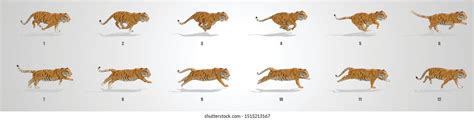 Tiger Walk Cycle Tutorial 的图像结果