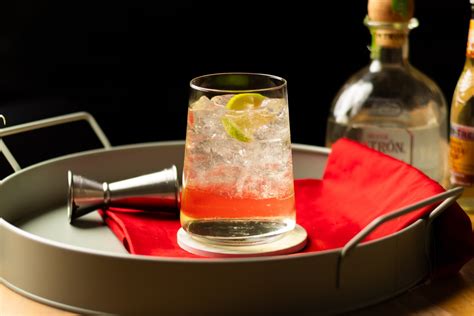 Tequila & Ginger Ale Cocktail Recipe by DrinksWorld