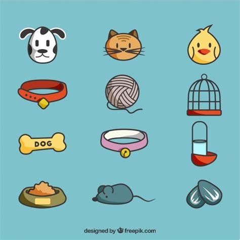 Desenho elementos de estimação agradável embalar | Vetor Premium