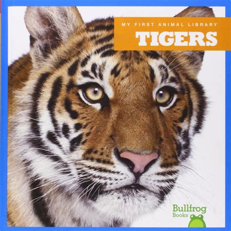 Buy Tigers (Bullfrog Books: My First Animal Library) Online at ...