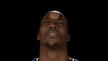 Image result for GIF Programming Random