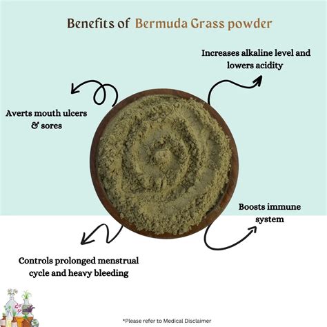 Bermuda Grass Powder – Madurasherbals