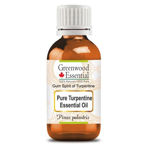 Greenwood Essential Turpentine Essential Oil (Pinus palustris)-Gum ...