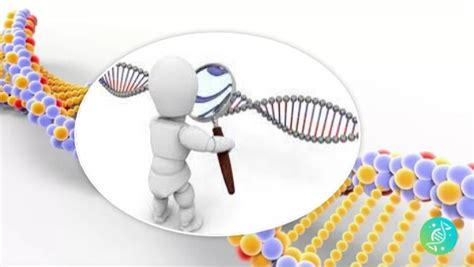 Image result for Code Genetique Exercice