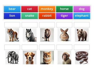 Image result for Python Pygame Examples