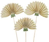 S B Enterprise >> Manufacturer Wholesaler Exporter :: Small Botanicals