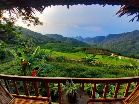 Flappy Bird Python Code 的图像结果