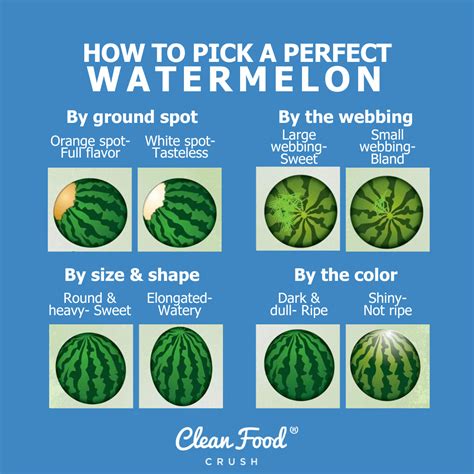 The Art of Selecting a Ripe Watermelon | by Minhajul Hoque | Medium