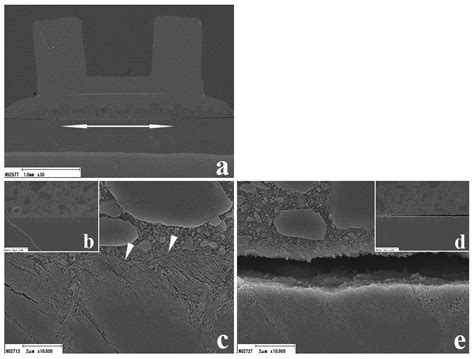 Influence of Pre-Etched Area and Functional Monomers on the Enamel Bond ...
