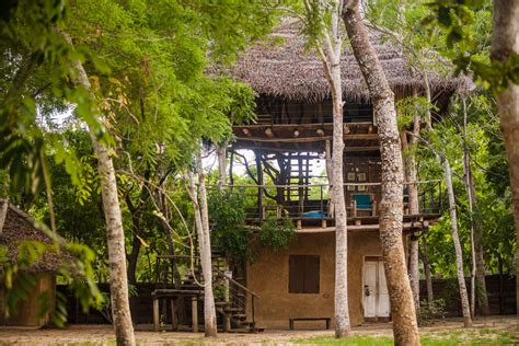 Saraii Village – Eco-Lodge with Mud Chalets & Tree Houses ...