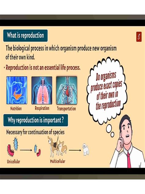 Image result for Reproduction Class 10 Videos