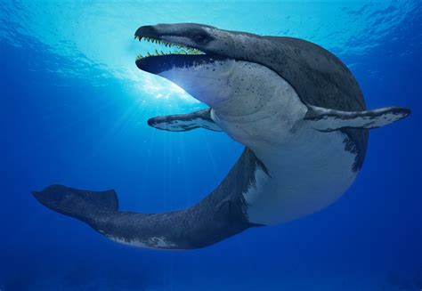 10 Biggest Water Dinosaurs & Sea Monsters Ever Found In Archaeology ...