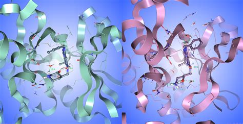 CDK Patterns 的图像结果